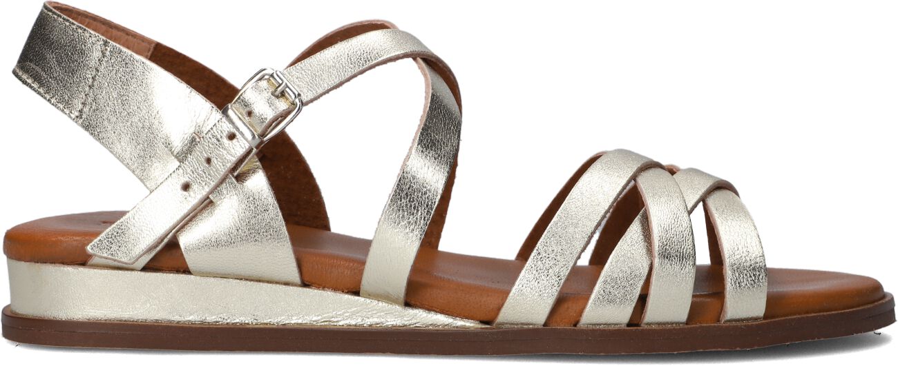 Red-Rag Sandalen
Dames 79542 Tiny Wedge, Maat: 36, Materiaal: Leer, Kleur: Goud