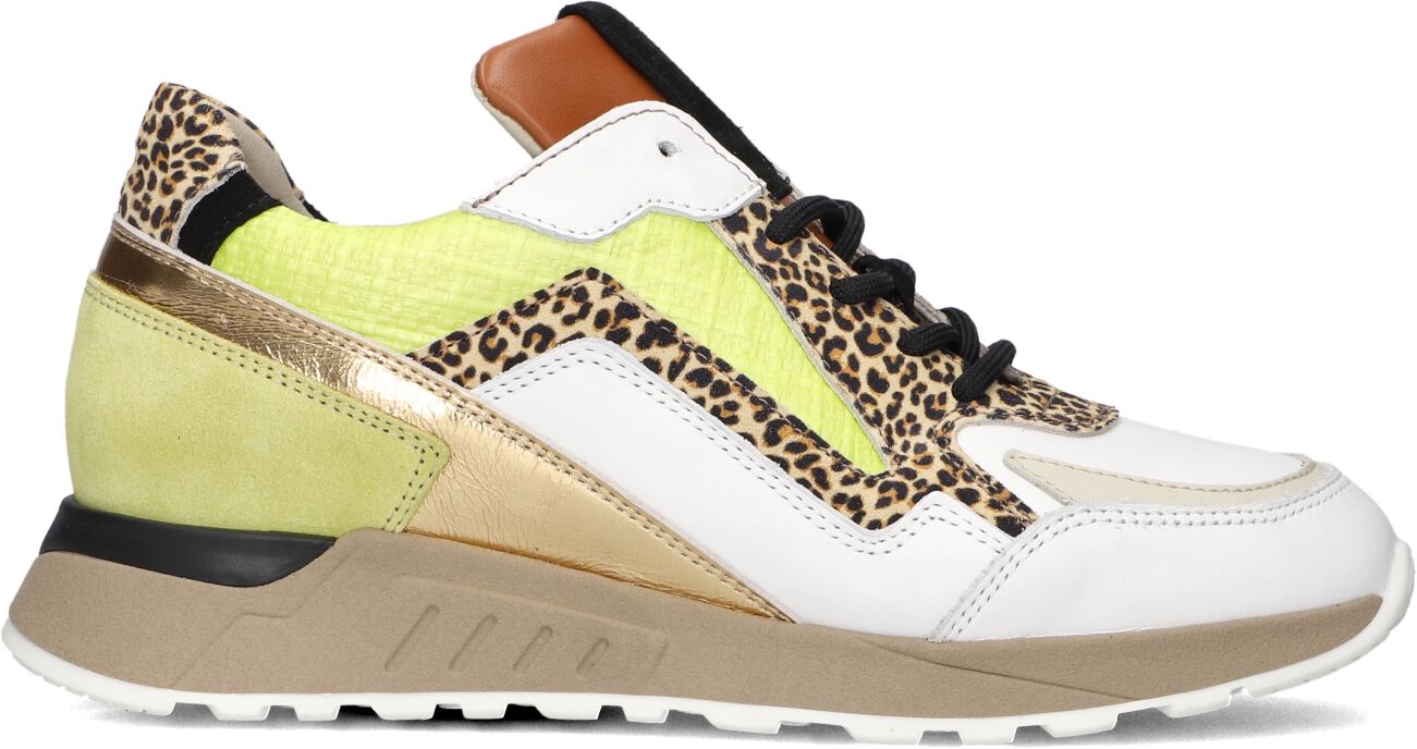 PiediNudi Lage Sneakers Dames Selva 17.01, Maat: 38, Materiaal: Leer, Kleur: Groen