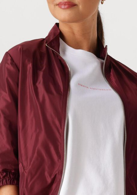 Bordeaux AMAYA AMSTERDAM Jack STORM - large