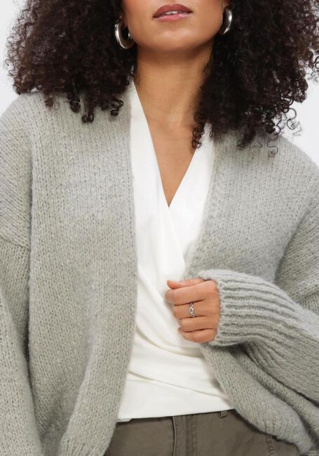 Grijze KNIT-TED Vest BECKY - large