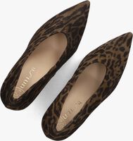 Bruine UNISA Pumps TAHAL Bruine UNISA Pumps TAHAL - medium