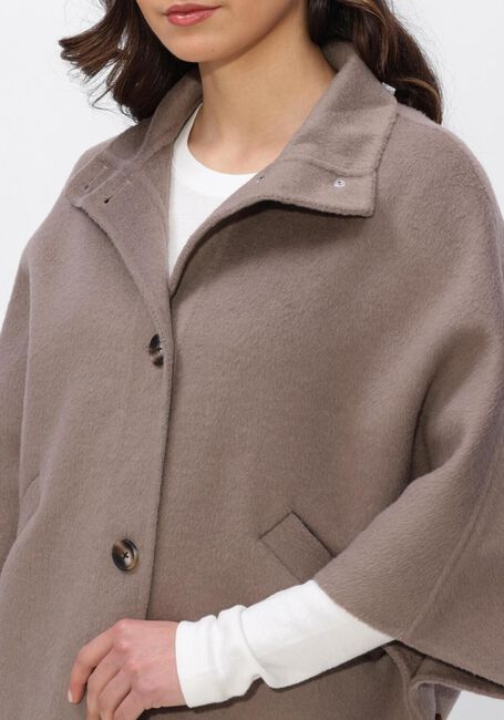 Taupe ALTER EGO Jack LIV - large