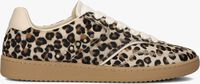 NUBIKK RAY OWEN STUDS NUBIKK RAY OWEN STUDS - medium