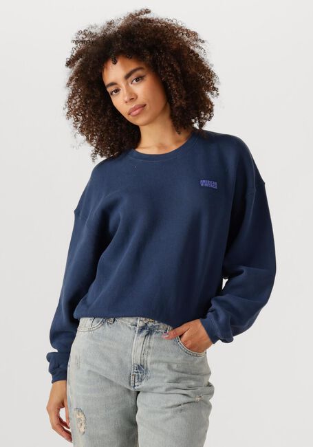 Blauwe AMERICAN VINTAGE Sweater IZUBIRD D - large