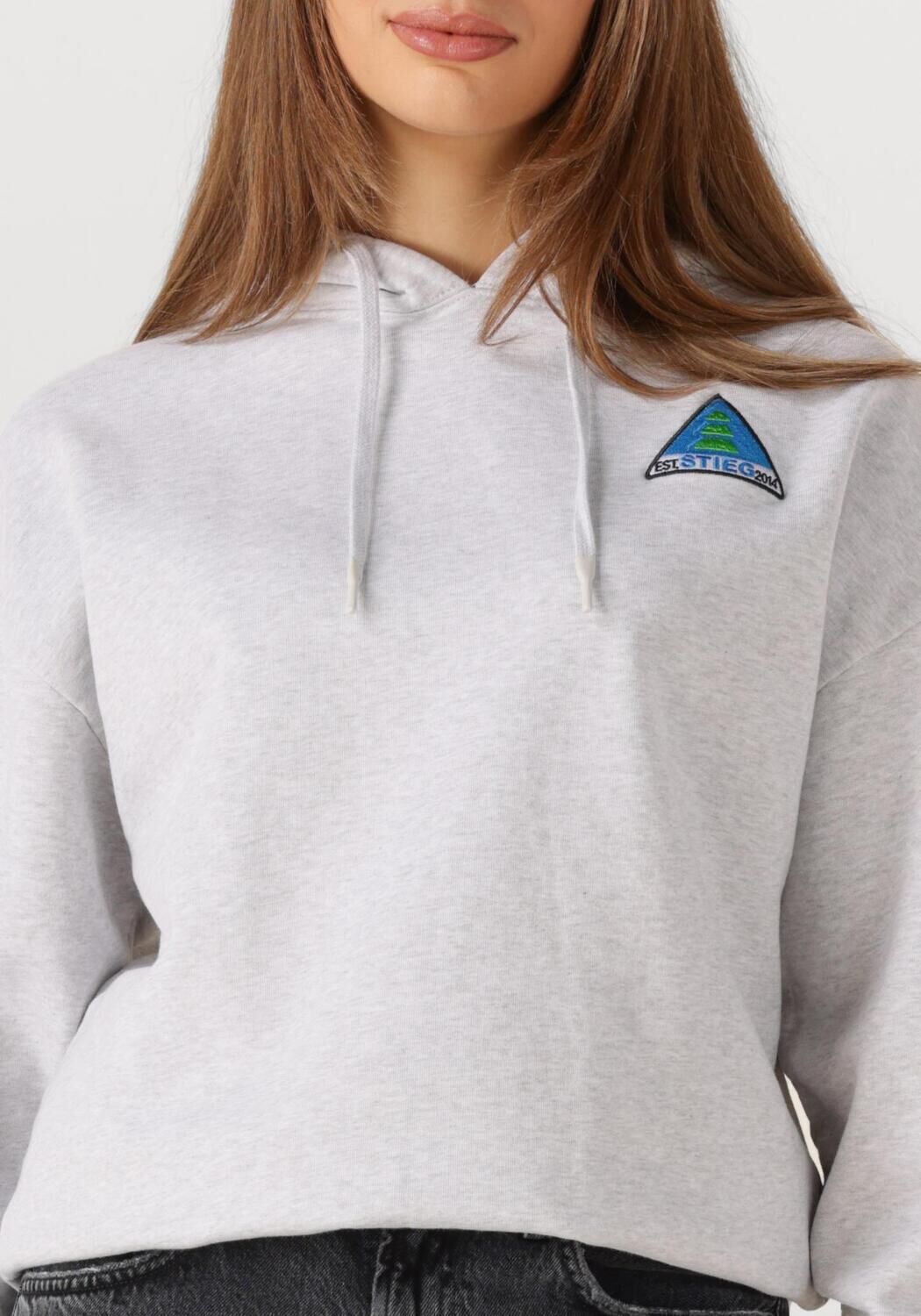 Lichtgrijze STIEGLITZ Trui CISCO HOODIE - large