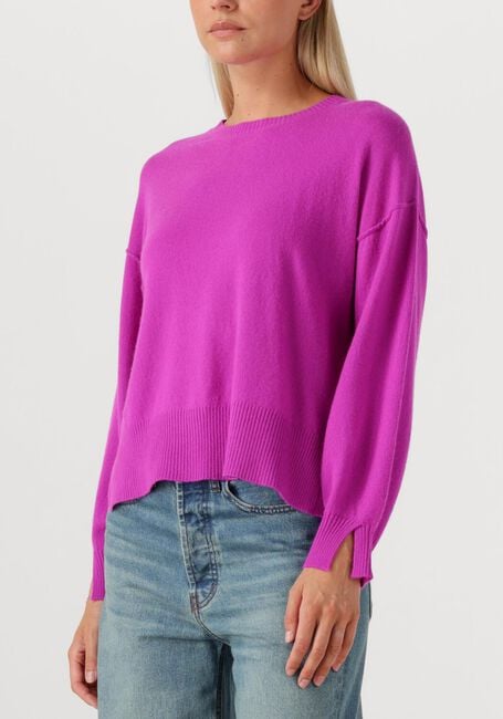 Paarse ABSOLUT CASHMERE Truien/vesten CATERINA - large