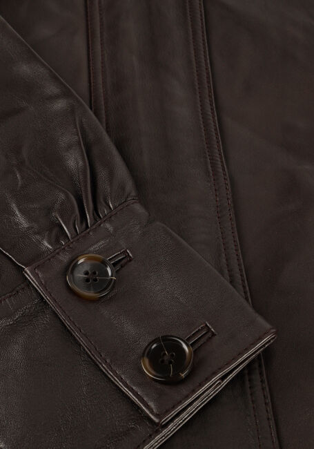 Bruine DANTE6 Leren jas KYRILO CROPPED LEATHER JACKET - large