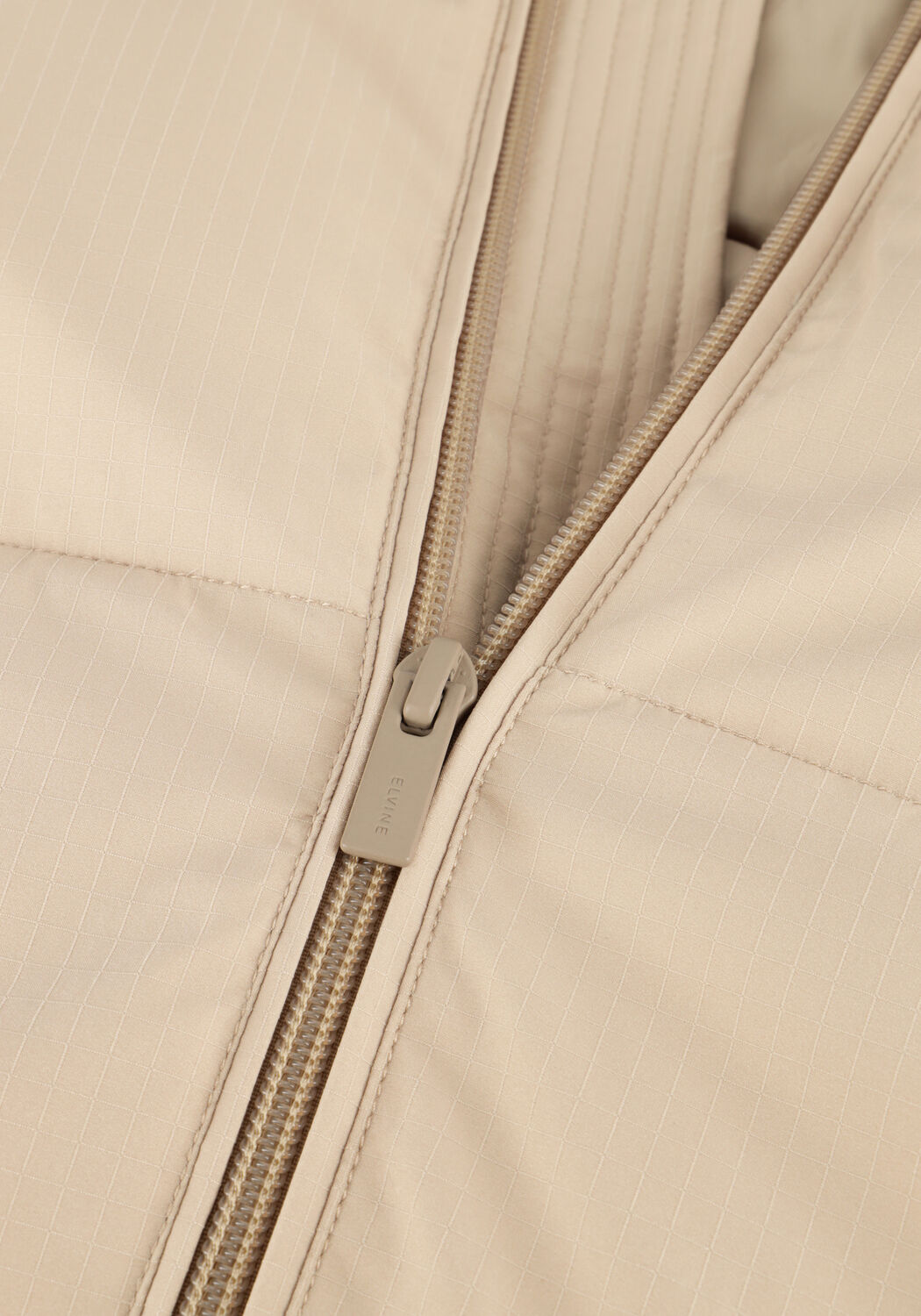 ELVINE BJARNE - large