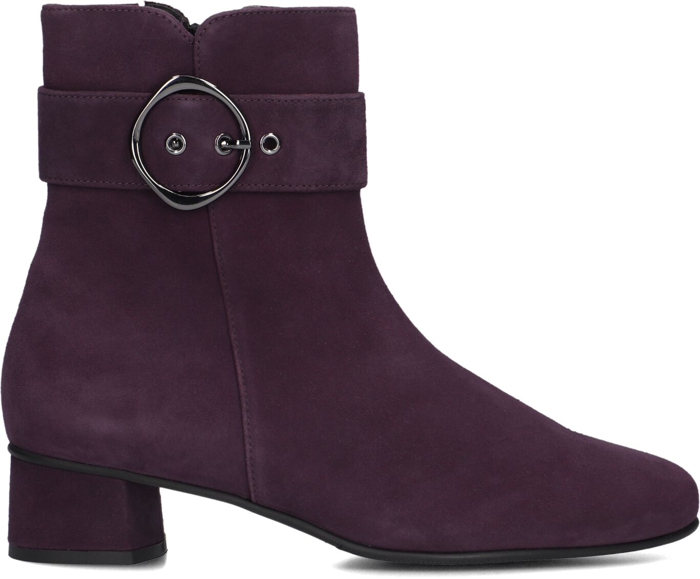 Hassia Enkellaarsjes
Dames 303095, Maat: 37,5, Materiaal: Suède, Kleur: Paars