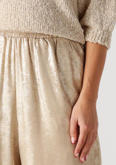 Gouden KNIT-TED Pantalon BLAKE - large