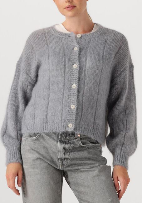 Blauwe DES PETITS HAUTS Vest CHOUETTE - large