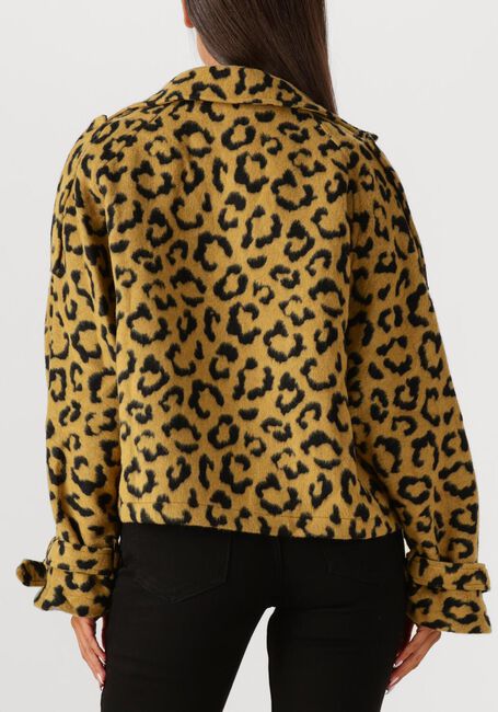 Oker AMAYA AMSTERDAM Jack LOTUS - large