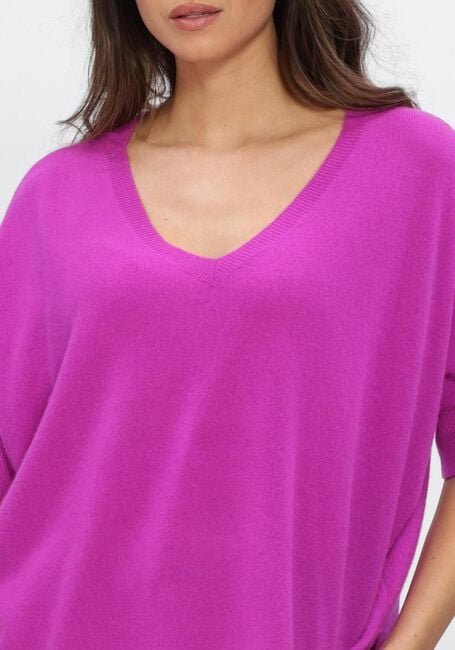 Paarse ABSOLUT CASHMERE Truien/vesten KATE - large