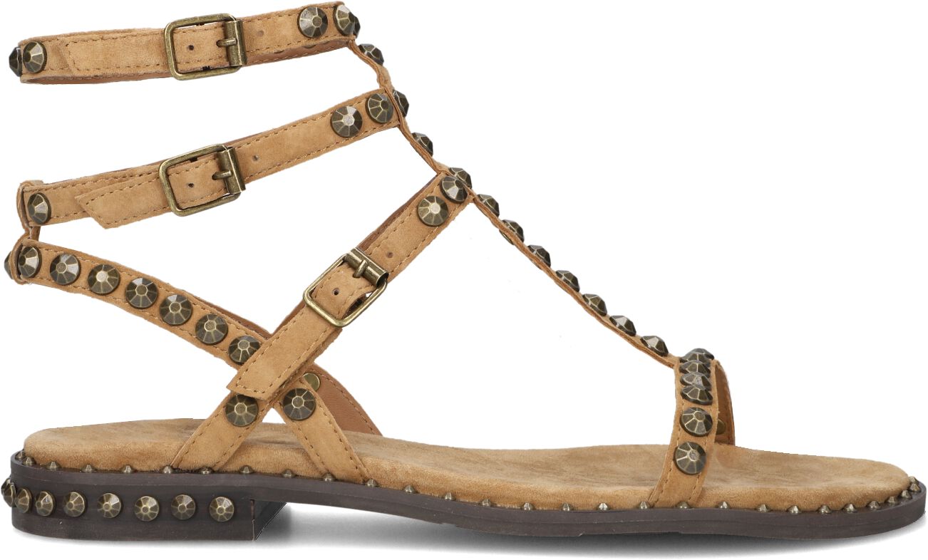 Ash Dames Play, Maat: 39, Materiaal: Suède, Kleur: Camel afbeelding