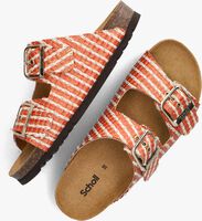 Oranje SCHOLL Slippers NOELLE RAFFIA Oranje SCHOLL Slippers NOELLE RAFFIA - medium