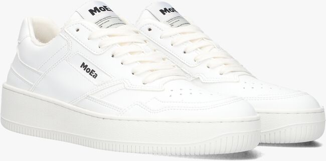 MoEa MOEA-BASGN1 MoEa MOEA-BASGN1 - large