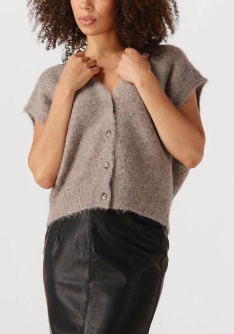 Taupe KNIT-TED Spencer CONSTANCE - large